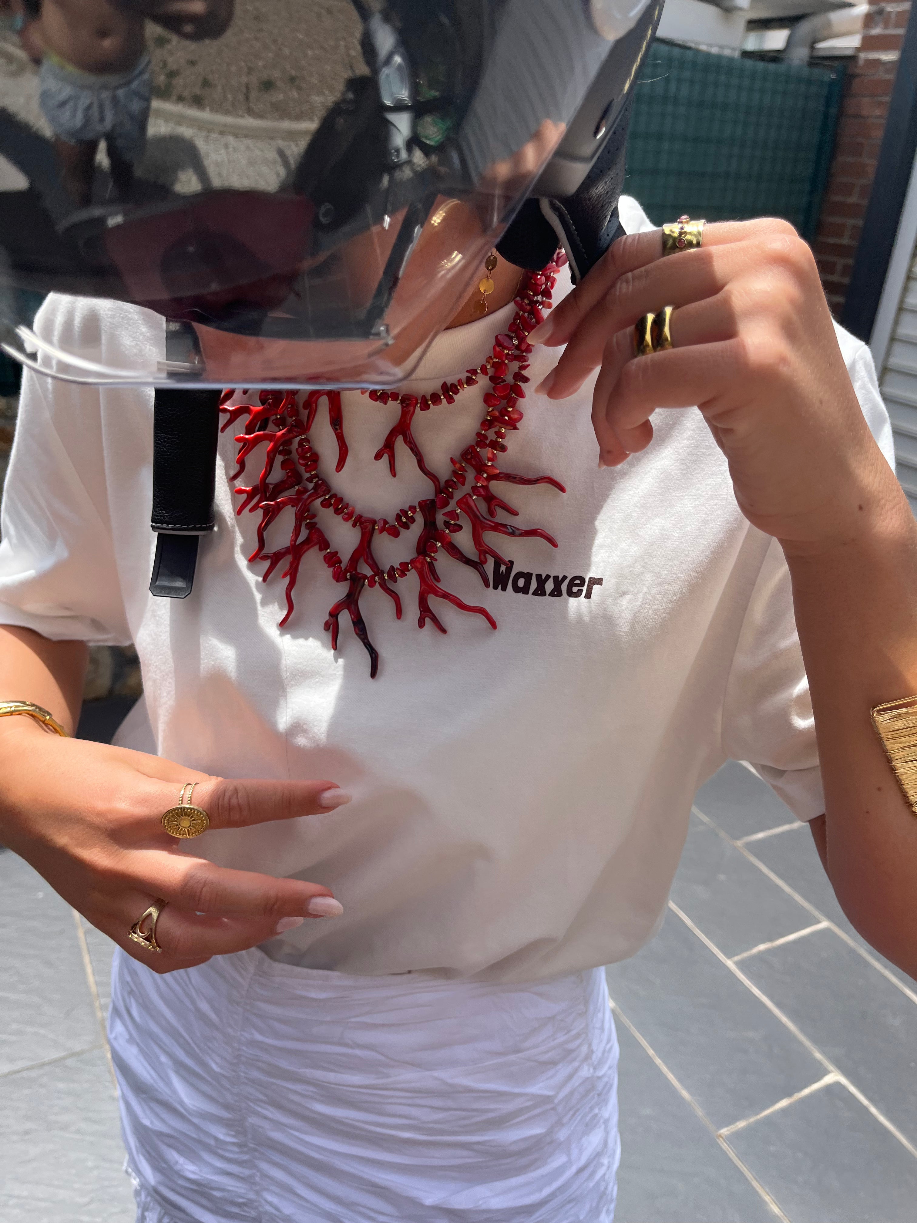 Camiseta Frigo Marrón